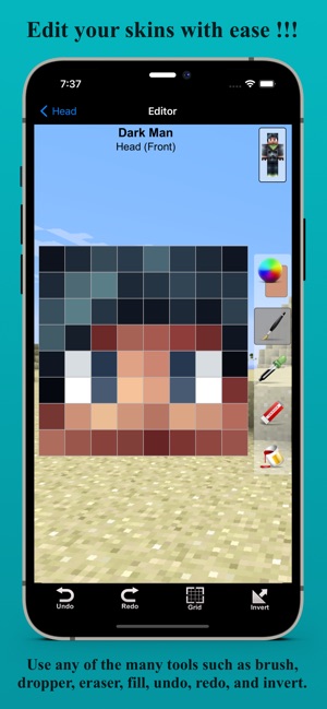 Minecraft SkinEdit for Mac - Download