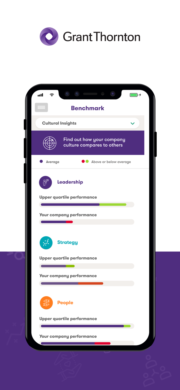 Business Risk Services