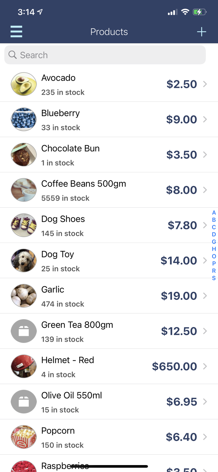 Invoice Professional 3