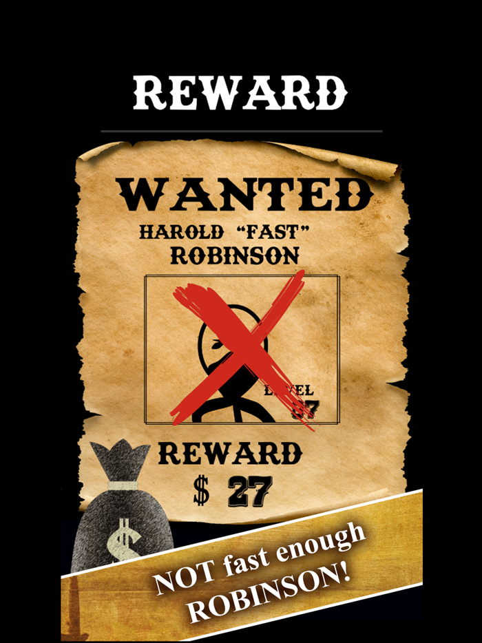 Bounty Hunter Wild West