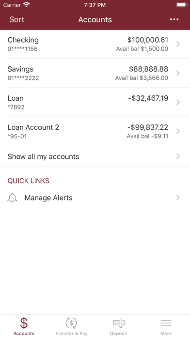 Success Bank Screenshot
