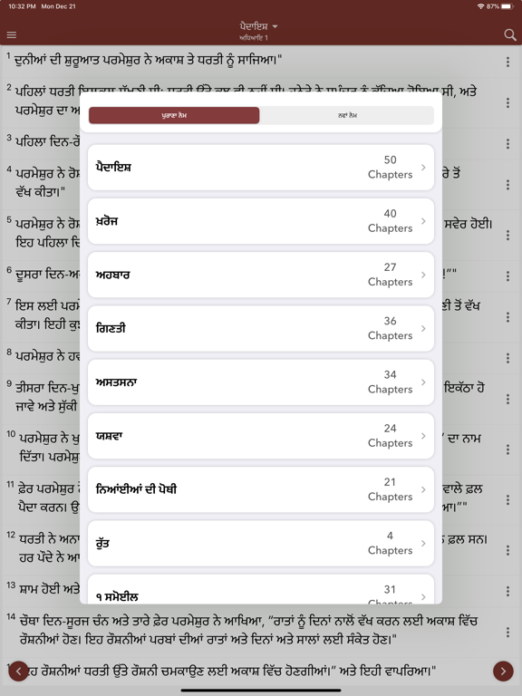 Holy Bible In Punjabi screenshot 2