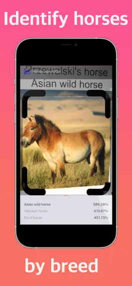 Game screenshot Horse Identifier mod apk