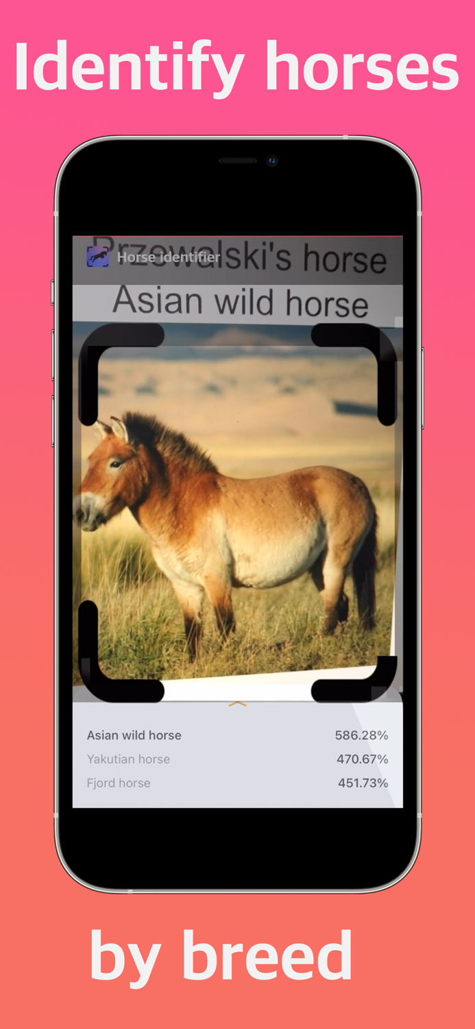 Horse Identifier