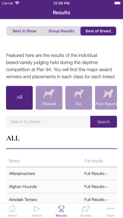 Westminster Dog Show Screenshot