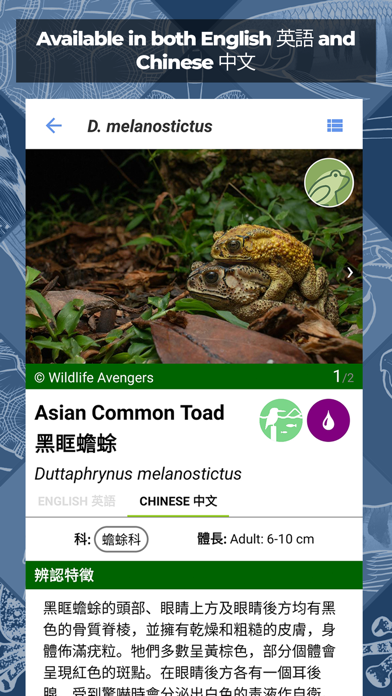 Freshwater Species: Hong Kong Screenshot