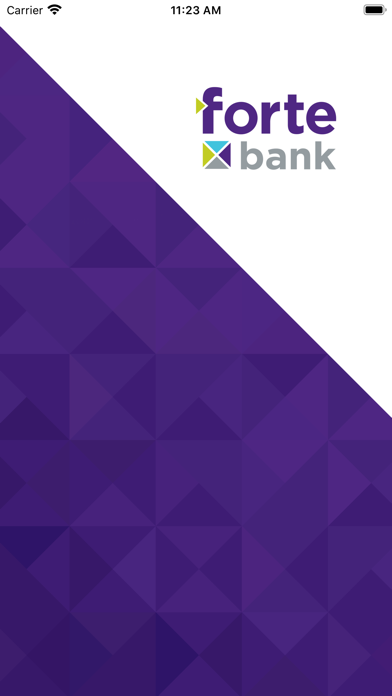 Forte Bank WI Retail Banking Screenshot