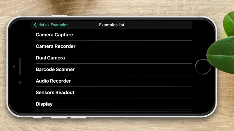 Iristick Examples