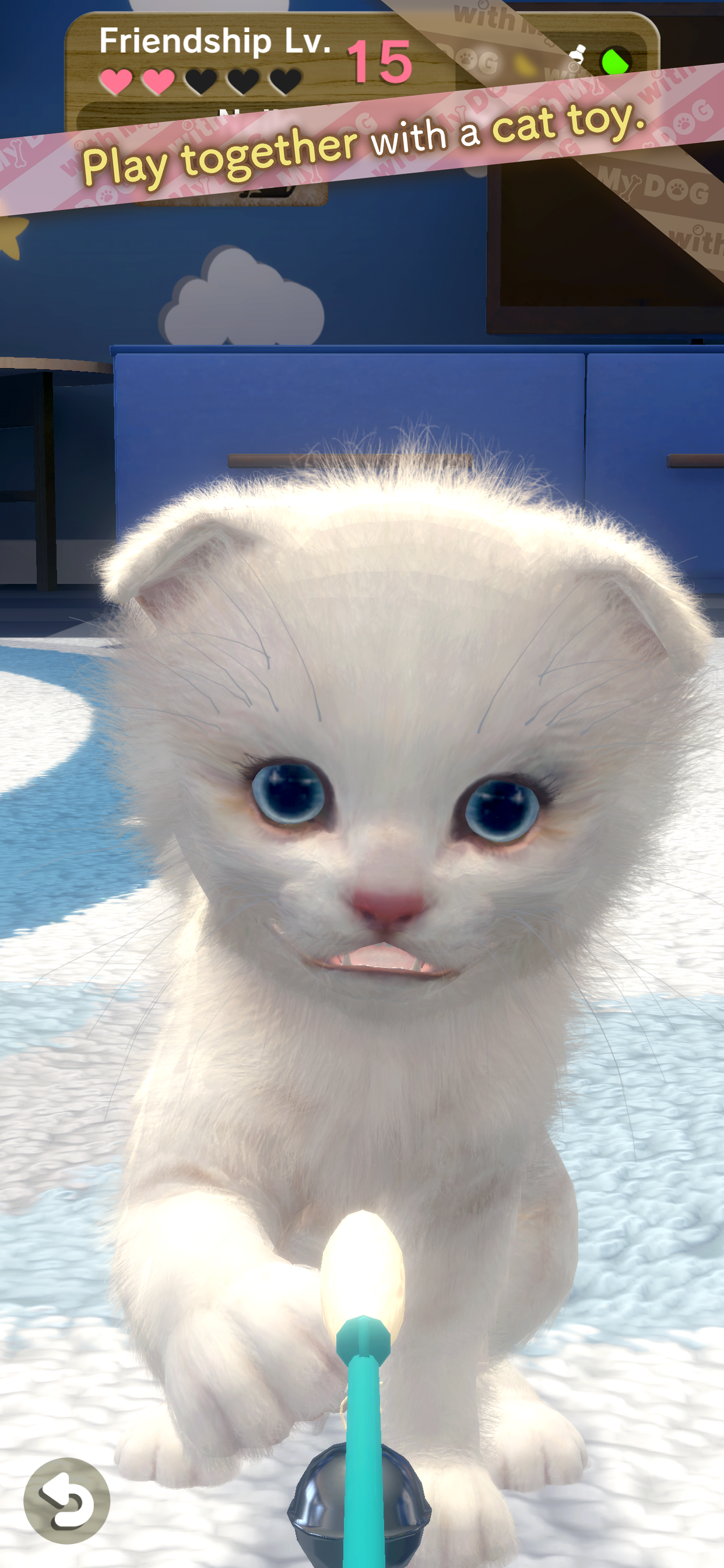 with My CAT