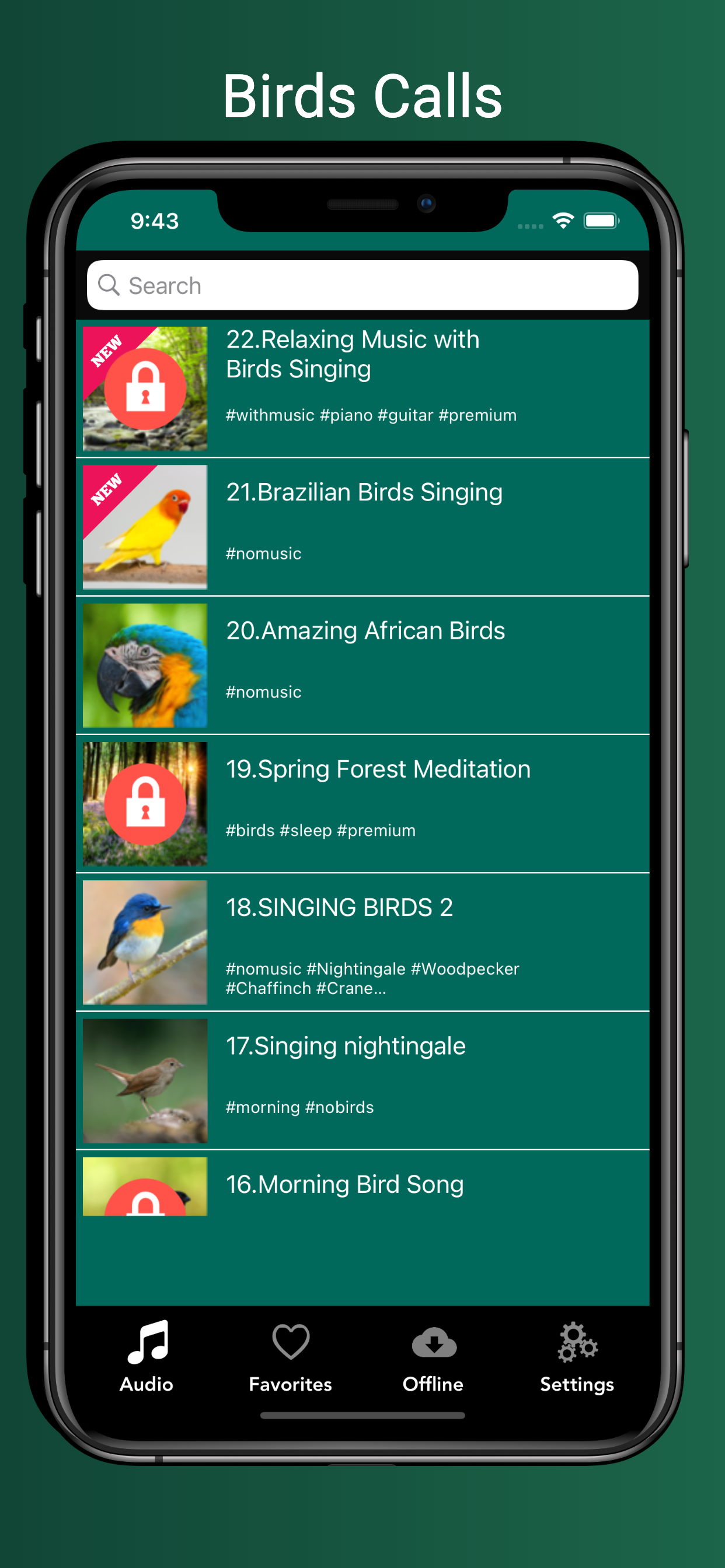 Bird Sounds!!!