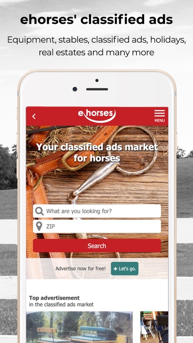 ehorses screenshot 2