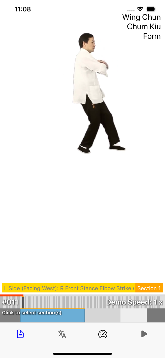 Wing Chun Chum Kiu Form