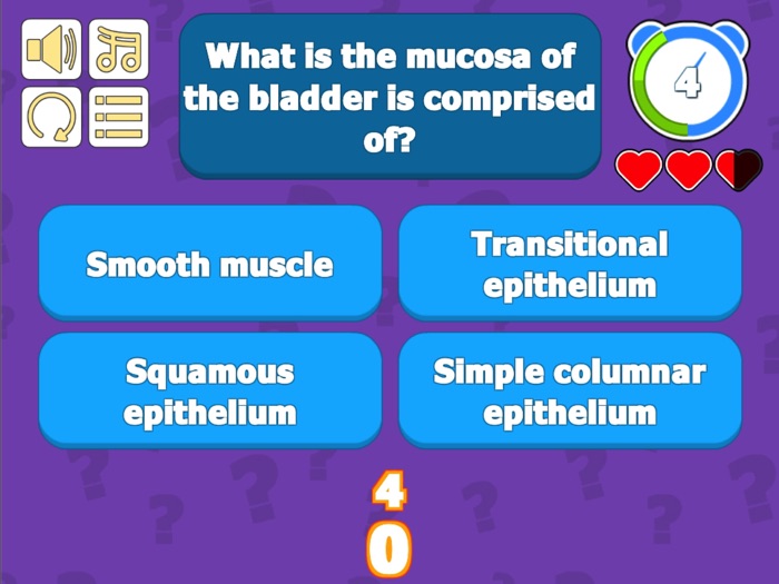 Urinary System Quiz - Anatomy