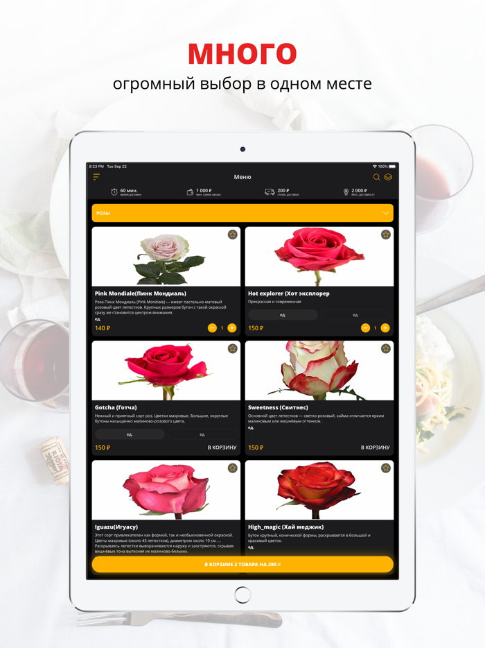 Mary rose flowers  Новороссий