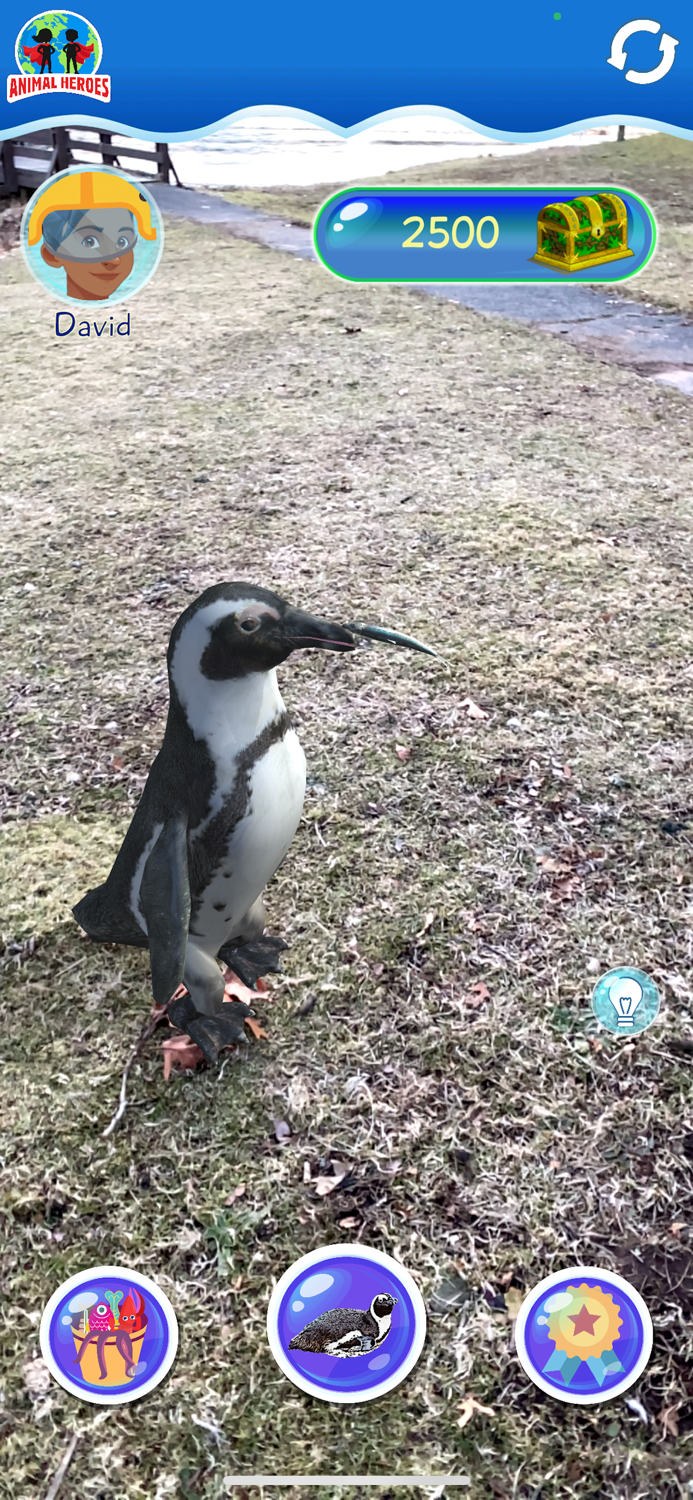 Mystics Animal Heroes