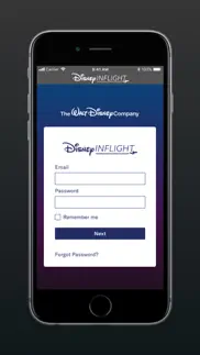 disney inflight problems & solutions and troubleshooting guide - 2