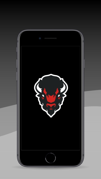 Bison Baseball Dallas screenshot-6