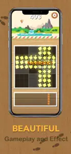 Wood Block Scapes Puzzle screenshot #2 for iPhone