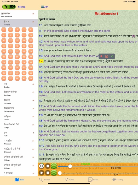 Screenshot #6 pour Punjabi English Audio Bible