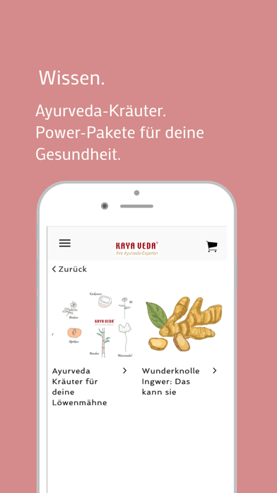 Kaya Veda Ayurveda Screenshot