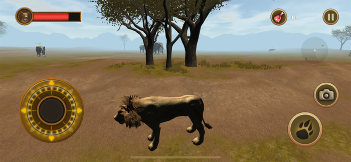 Lion Chase
