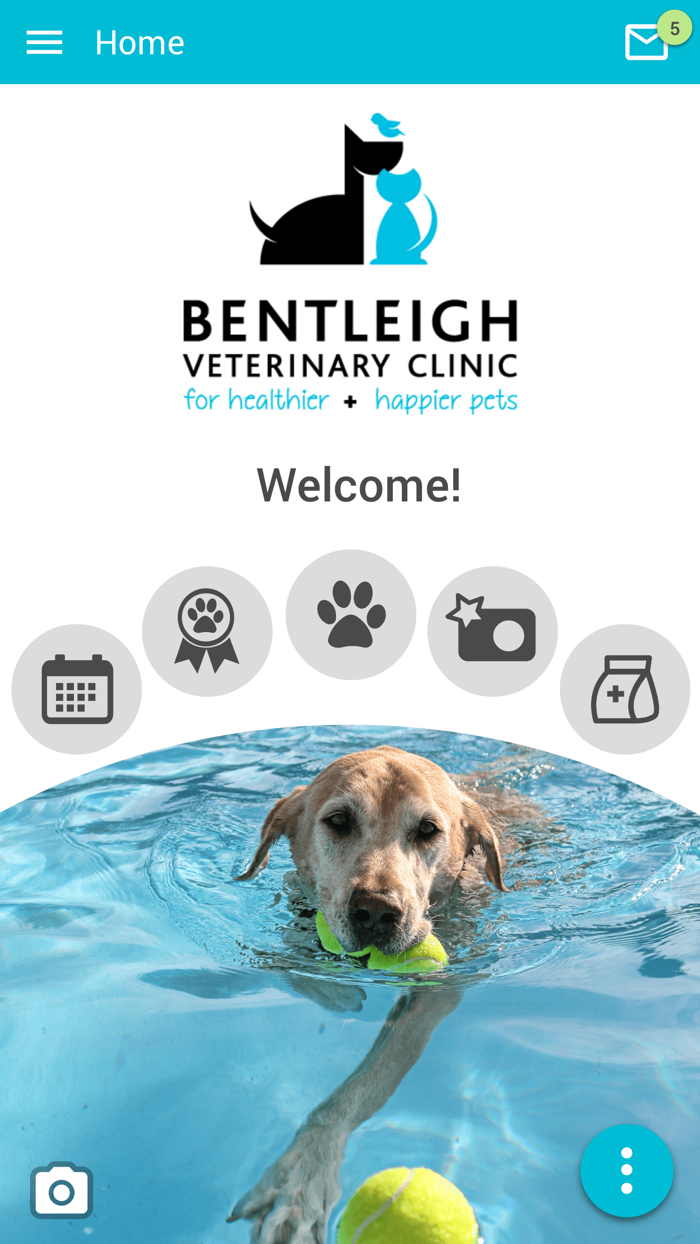 Bentleigh Vet Clinic