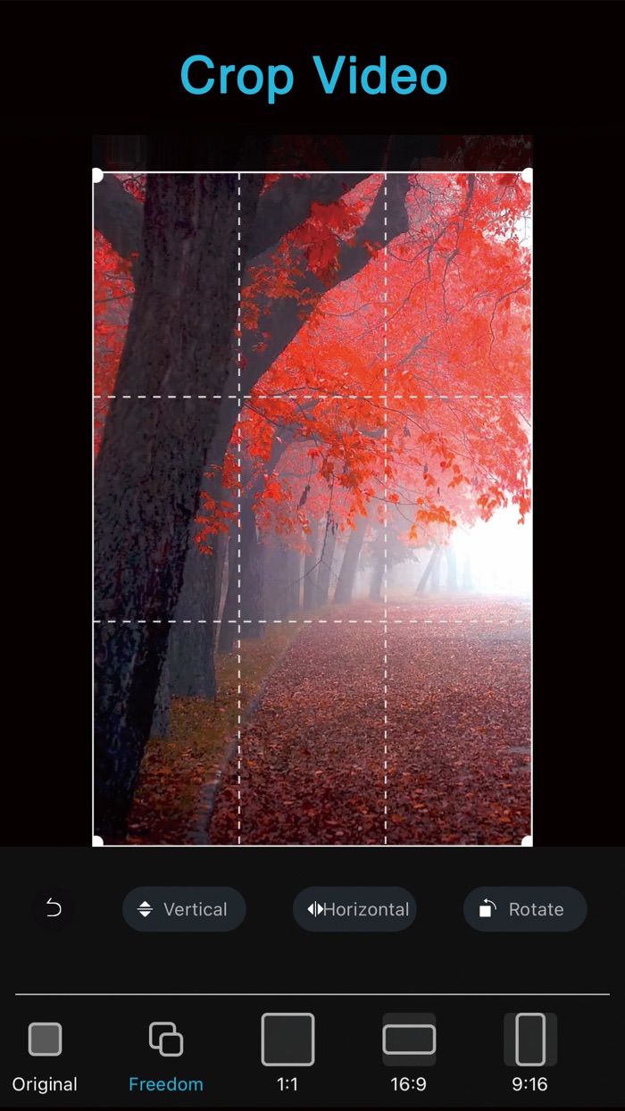 Video Editor . Edit Videos