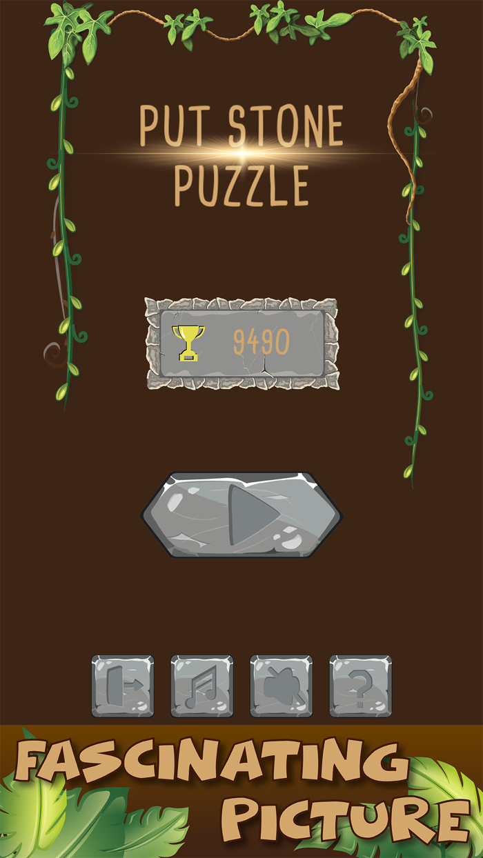 Put Stone Puzzle