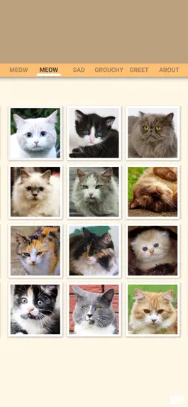 Game screenshot Cat Meow Kitten Sounds apk