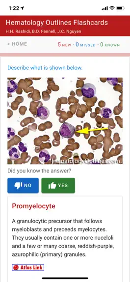 Game screenshot Hematology Outlines Review apk