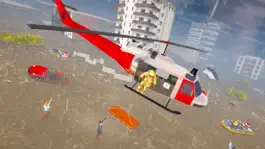 Game screenshot Disaster Rescue Service hack