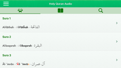 Quran Audio mp3 Pro: Bosnianのおすすめ画像8