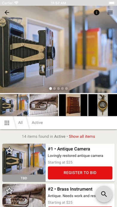 Oronoco Online Auctions Screenshot