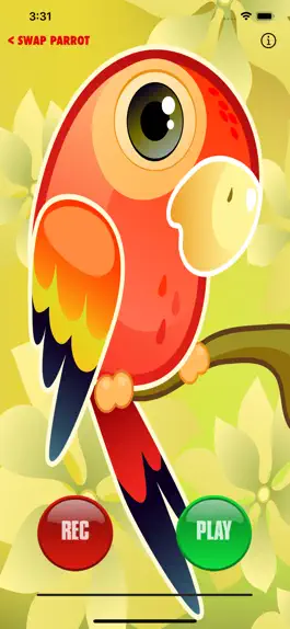 Game screenshot Talking Parrot Repeater mod apk