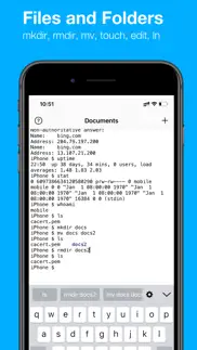 terminal emulator iphone screenshot 4