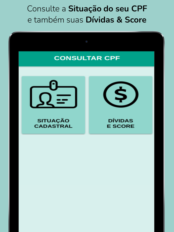 Consulta CPF - Dívidas e Score
