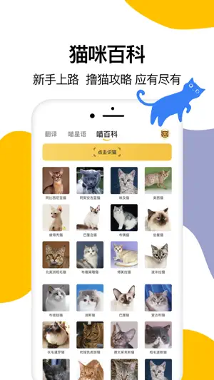 猫语翻译-宠物猫咪翻译器 screenshot 3