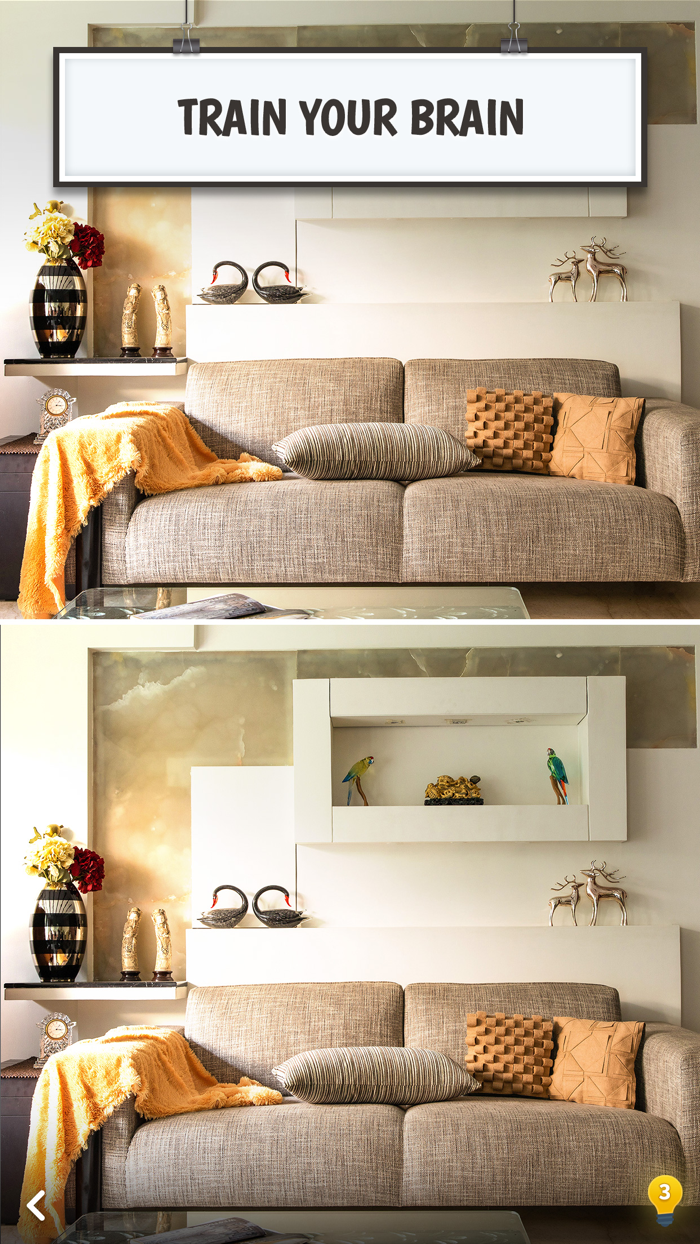 Find Differences Brain Puzzle