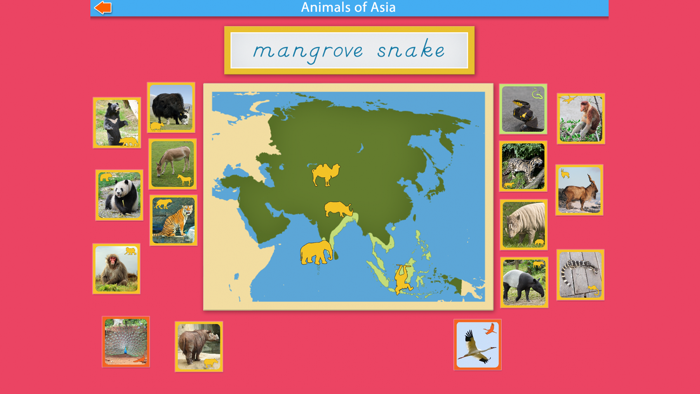 Montessori - Animals of Asia