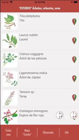Game screenshot 'ESTUDIO' Árboles, aves mod apk