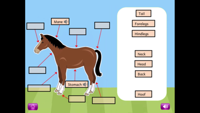 Naming Plant&Animal Parts Lite Screenshot