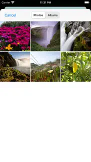 wifile iphone resimleri 4