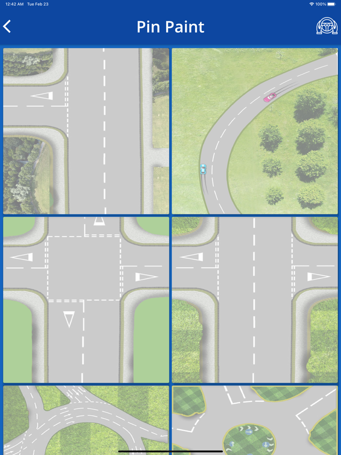 Driving Instructors Pro