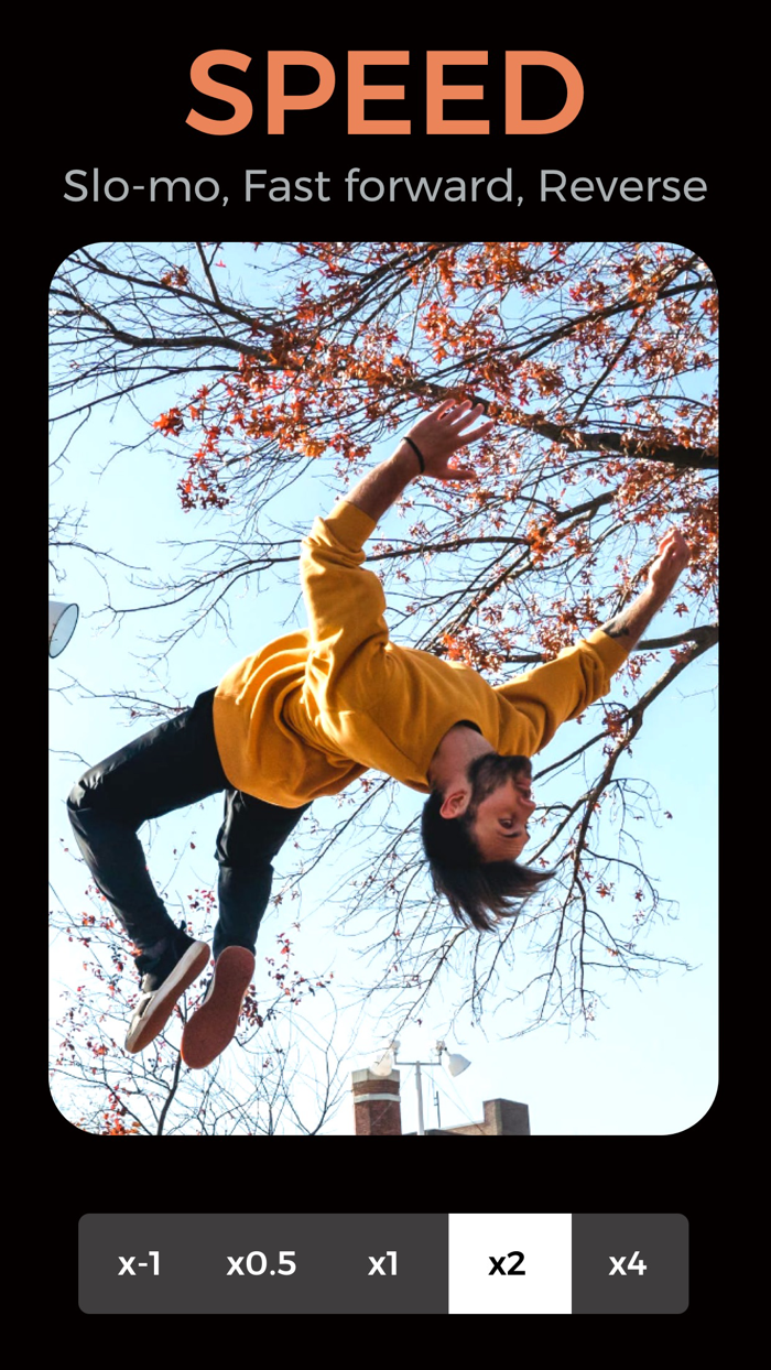 Disco Videos Effects and Music