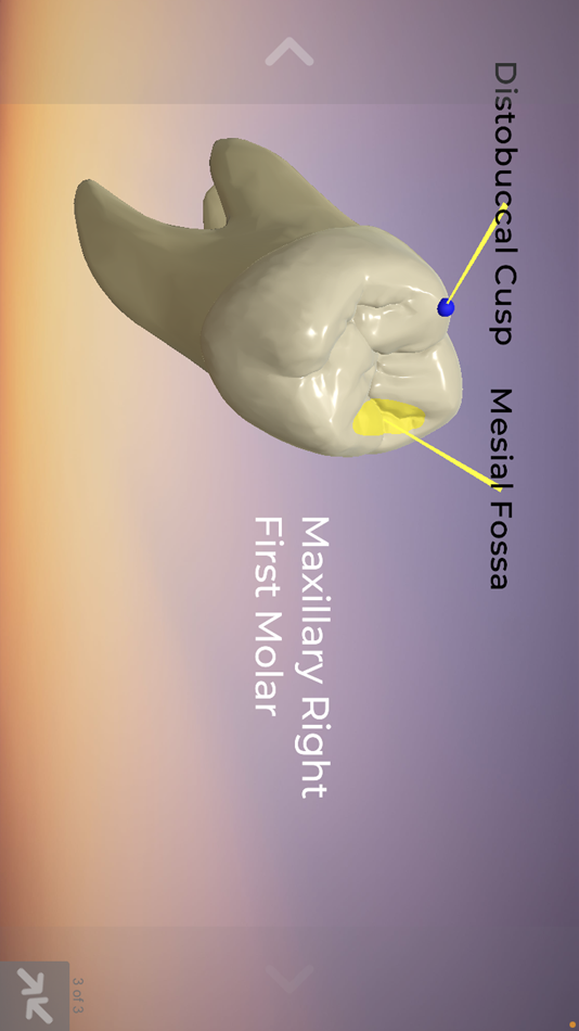 #2. OneScreen (macOS) 由: ACA Dental