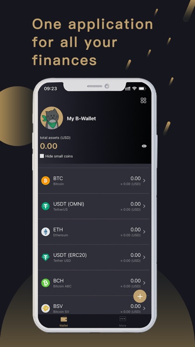 Screenshot #1 pour B-Wallet