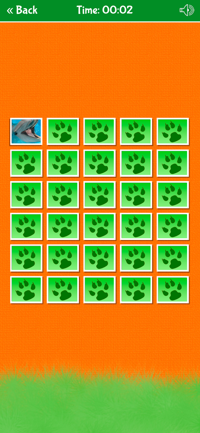 Zoo Animals Matching Game