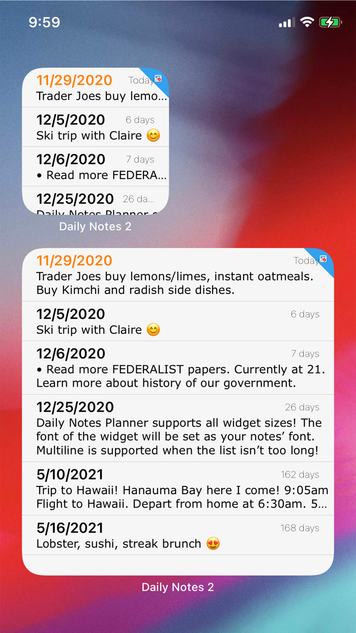 Daily Notes Planner 2