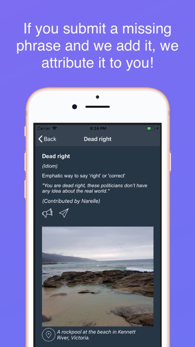Strayamate - Australian Slang Screenshot