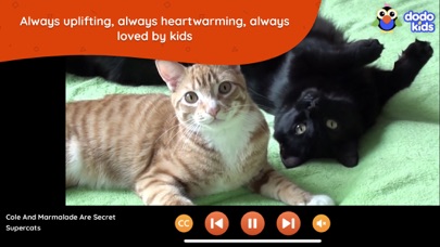Dodo Kids - Fun Animal Videos Screenshot